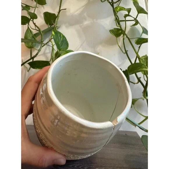 Textured Ceramic Planter with Saucer - Picture 6 of 10